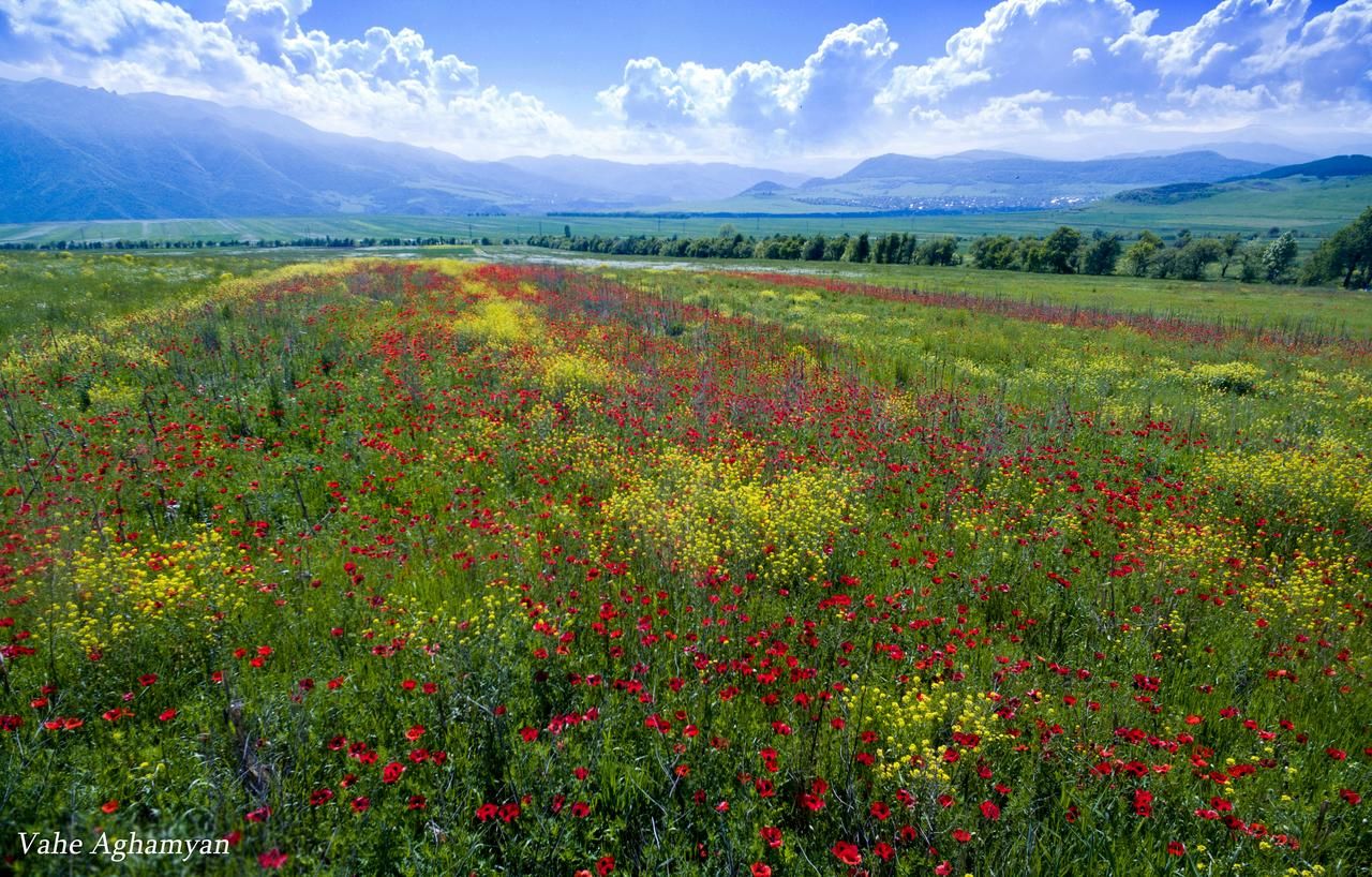 Дома для отпуска Holiday Home Ruben Одзун